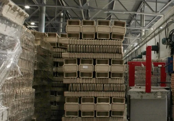 Jakie systemy transportowe współpracują z paletyzatorem przy pracy non-stop?