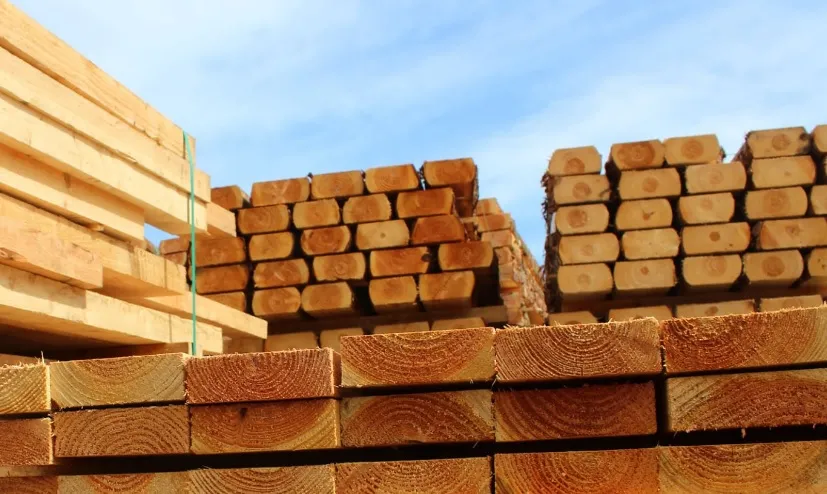 Jakie zastosowania ma klejonka sosnowa w nowoczesnym stolarstwie?